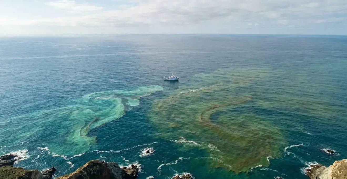 Vue aerienne d'une zone marine montrant la distinction entre efflorescence d'algues et pollution chimique
