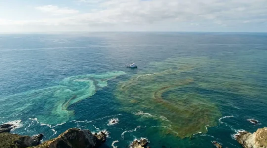 Vue aerienne d'une zone marine montrant la distinction entre efflorescence d'algues et pollution chimique